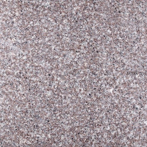 9955