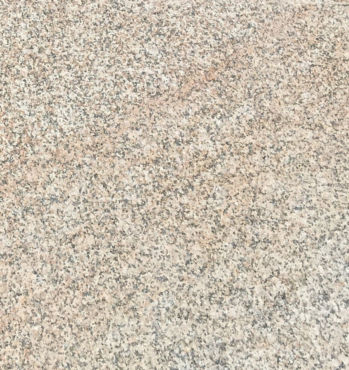 3130